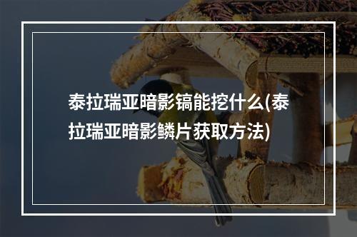 泰拉瑞亚暗影镐能挖什么(泰拉瑞亚暗影鳞片获取方法)