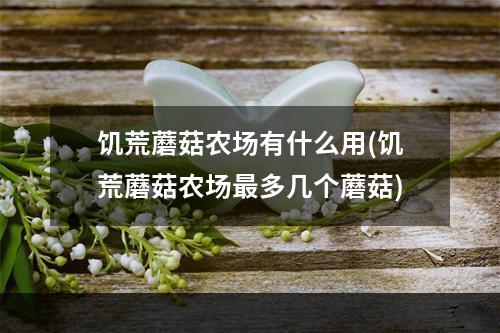 饥荒蘑菇农场有什么用(饥荒蘑菇农场最多几个蘑菇)