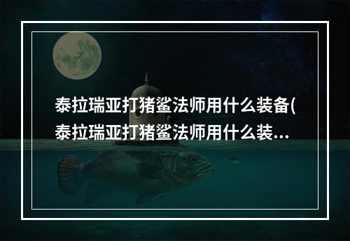 泰拉瑞亚打猪鲨法师用什么装备(泰拉瑞亚打猪鲨法师用什么装备和装饰好)