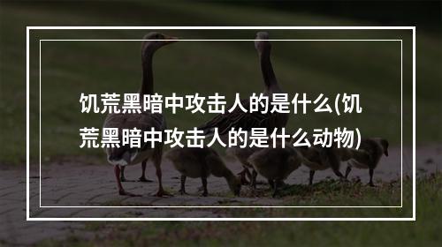 饥荒黑暗中攻击人的是什么(饥荒黑暗中攻击人的是什么动物)