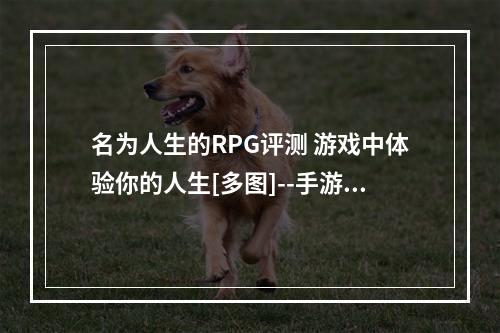 名为人生的RPG评测 游戏中体验你的人生[多图]--手游攻略网