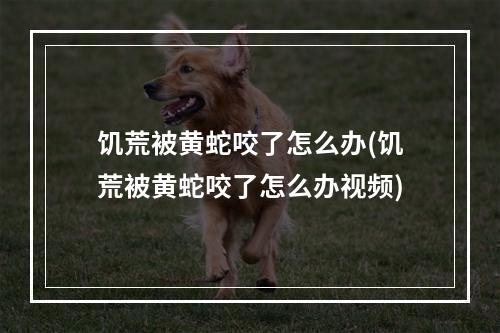 饥荒被黄蛇咬了怎么办(饥荒被黄蛇咬了怎么办视频)