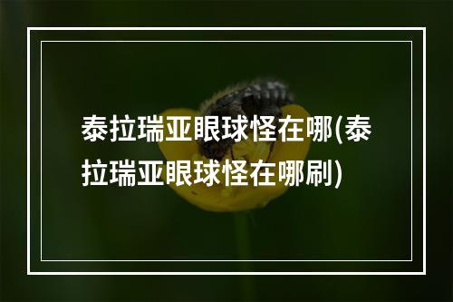 泰拉瑞亚眼球怪在哪(泰拉瑞亚眼球怪在哪刷)