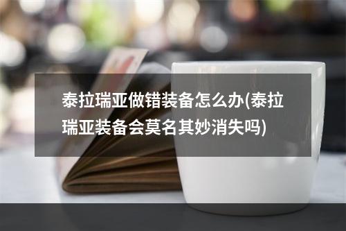 泰拉瑞亚做错装备怎么办(泰拉瑞亚装备会莫名其妙消失吗)