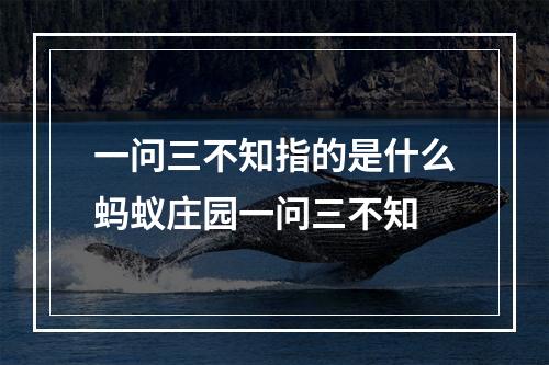 一问三不知指的是什么蚂蚁庄园一问三不知