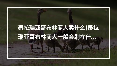 泰拉瑞亚哥布林商人卖什么(泰拉瑞亚哥布林商人一般会刷在什么地点)