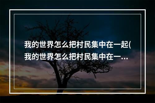 我的世界怎么把村民集中在一起(我的世界怎么把村民集中在一起玩)