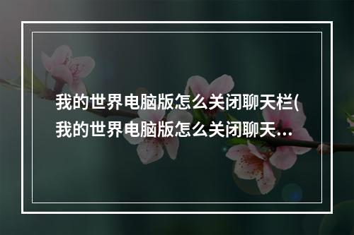 我的世界电脑版怎么关闭聊天栏(我的世界电脑版怎么关闭聊天栏显示)