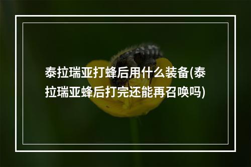 泰拉瑞亚打蜂后用什么装备(泰拉瑞亚蜂后打完还能再召唤吗)