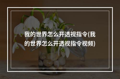 我的世界怎么开透视指令(我的世界怎么开透视指令视频)