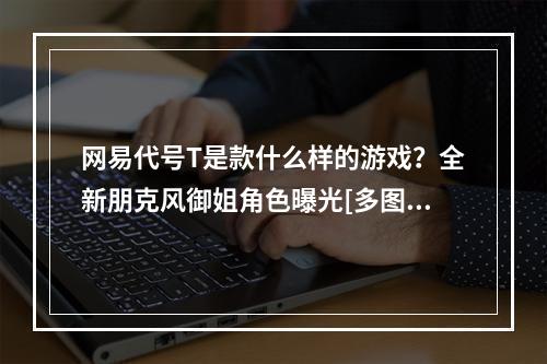 网易代号T是款什么样的游戏？全新朋克风御姐角色曝光[多图]--手游攻略网