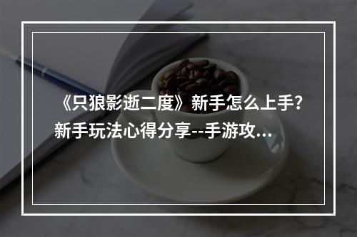 《只狼影逝二度》新手怎么上手？新手玩法心得分享--手游攻略网