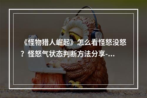 《怪物猎人崛起》怎么看怪怒没怒？怪怒气状态判断方法分享--手游攻略网