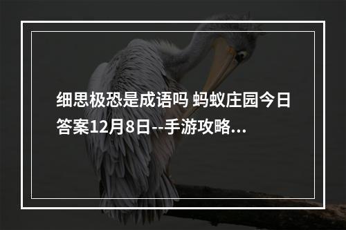 细思极恐是成语吗 蚂蚁庄园今日答案12月8日--手游攻略网