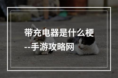 带充电器是什么梗--手游攻略网