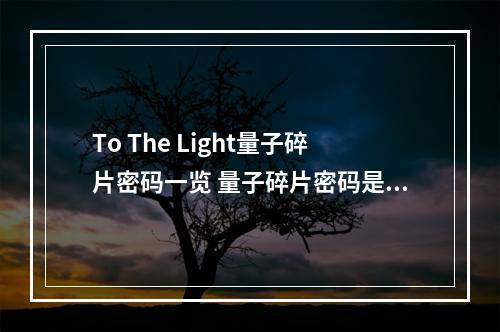 To The Light量子碎片密码一览 量子碎片密码是多少--手游攻略网