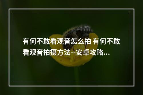 有何不敢看观音怎么拍 有何不敢看观音拍摄方法--安卓攻略网