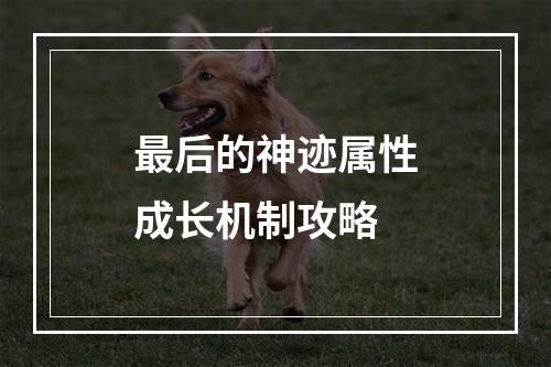 最后的神迹属性成长机制攻略