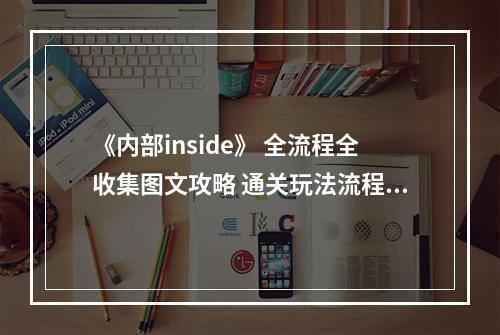 《内部inside》 全流程全收集图文攻略 通关玩法流程介绍--游戏攻略网