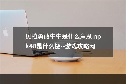 贝拉勇敢牛牛是什么意思 npk48是什么梗--游戏攻略网