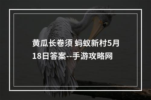 黄瓜长卷须 蚂蚁新村5月18日答案--手游攻略网