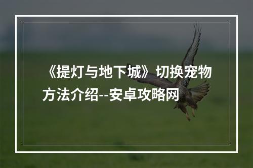 《提灯与地下城》切换宠物方法介绍--安卓攻略网