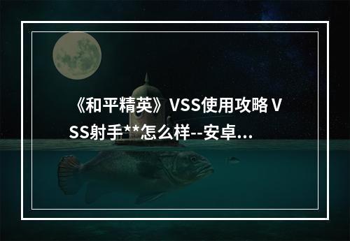 《和平精英》VSS使用攻略 VSS射手**怎么样--安卓攻略网