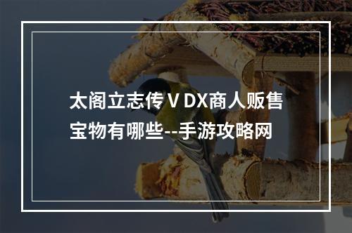 太阁立志传ⅤDX商人贩售宝物有哪些--手游攻略网