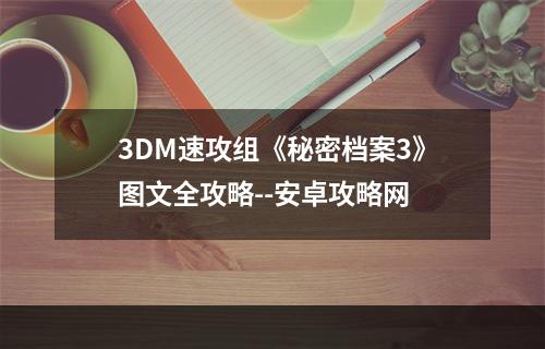 3DM速攻组《秘密档案3》图文全攻略--安卓攻略网