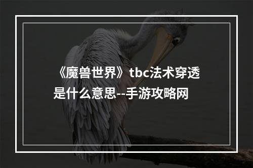 《魔兽世界》tbc法术穿透是什么意思--手游攻略网