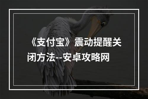 《支付宝》震动提醒关闭方法--安卓攻略网