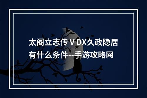 太阁立志传ⅤDX久政隐居有什么条件--手游攻略网