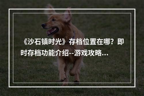 《沙石镇时光》存档位置在哪？即时存档功能介绍--游戏攻略网