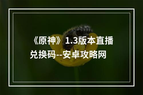 《原神》1.3版本直播兑换码--安卓攻略网