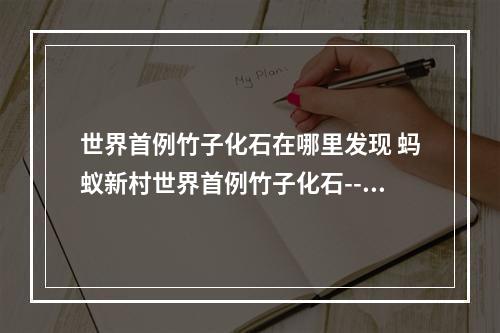 世界首例竹子化石在哪里发现 蚂蚁新村世界首例竹子化石--游戏攻略网