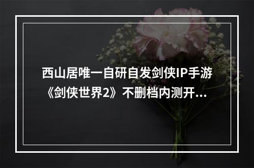 西山居唯一自研自发剑侠IP手游《剑侠世界2》不删档内测开启预约--游戏攻略网