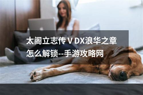 太阁立志传ⅤDX浪华之章怎么解锁--手游攻略网