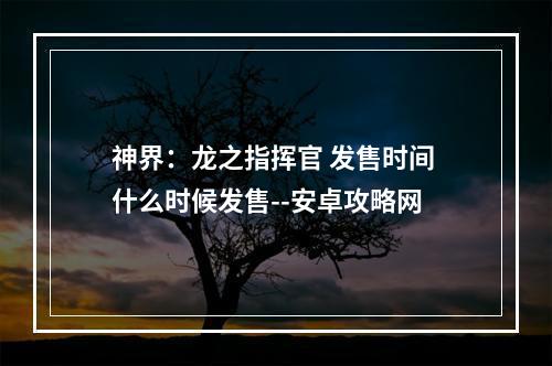 神界：龙之指挥官 发售时间 什么时候发售--安卓攻略网