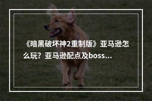 《暗黑破坏神2重制版》亚马逊怎么玩？亚马逊配点及boss打法思路