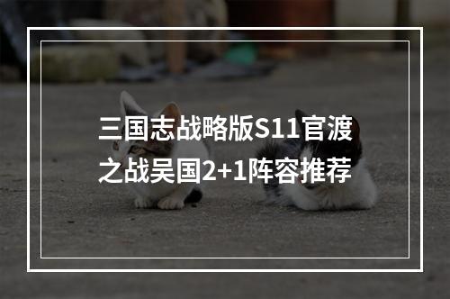 三国志战略版S11官渡之战吴国2+1阵容推荐