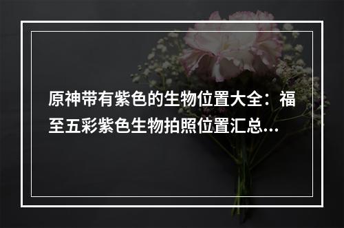 原神带有紫色的生物位置大全：福至五彩紫色生物拍照位置汇总[多图]