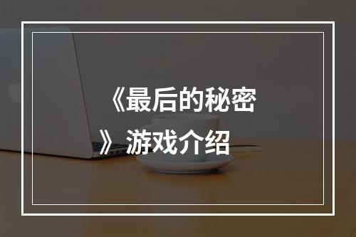 《最后的秘密》游戏介绍