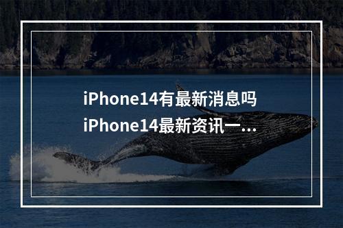 iPhone14有最新消息吗 iPhone14最新资讯一览