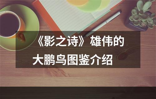 《影之诗》雄伟的大鹏鸟图鉴介绍