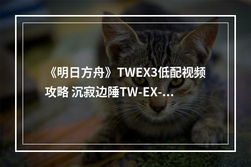 《明日方舟》TWEX3低配视频攻略 沉寂边陲TW-EX-3突袭打法