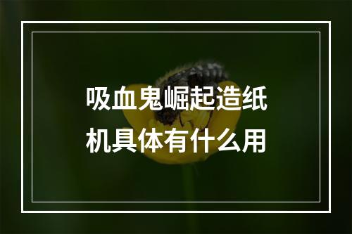 吸血鬼崛起造纸机具体有什么用