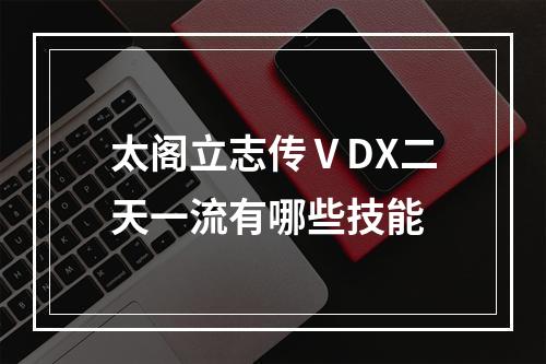 太阁立志传ⅤDX二天一流有哪些技能