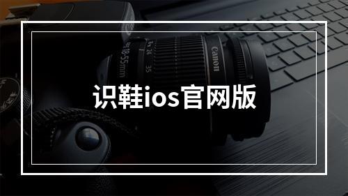 识鞋ios官网版