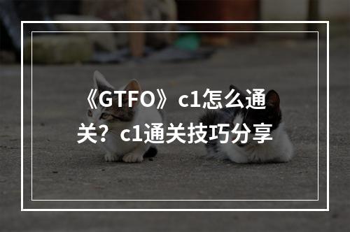 《GTFO》c1怎么通关？c1通关技巧分享