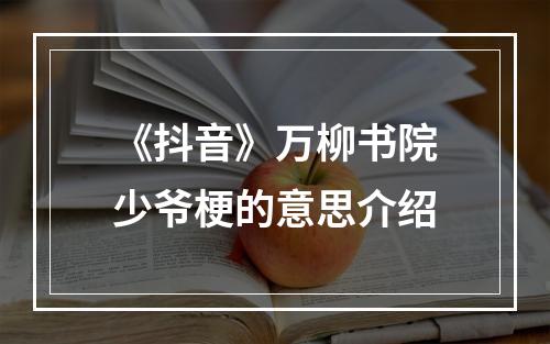 《抖音》万柳书院少爷梗的意思介绍